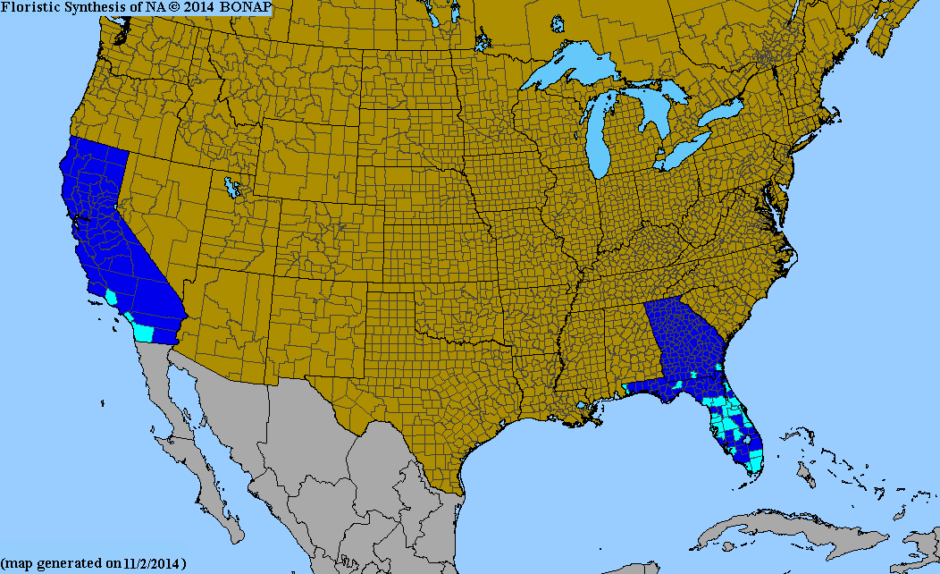 2013 BONAP North American Plant Atlas. TaxonMaps